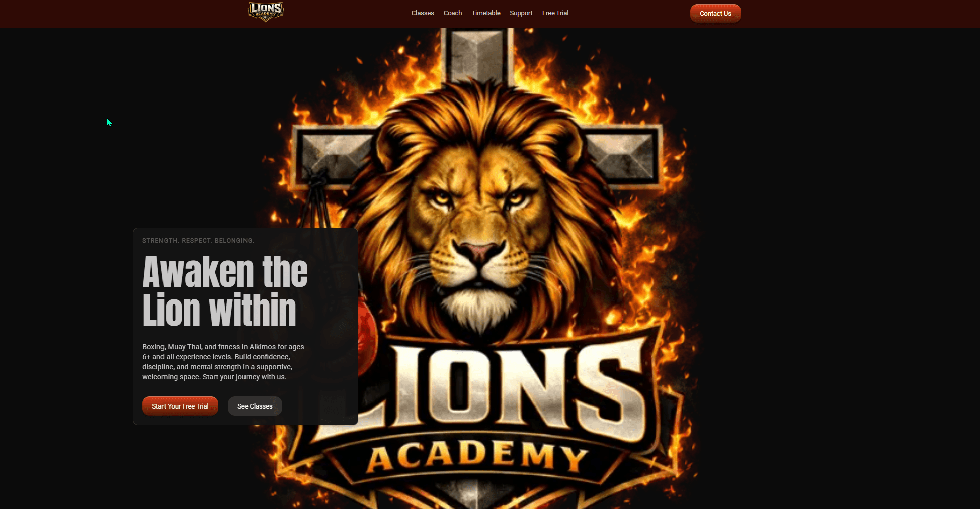 Lions Academy website desktop view